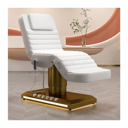 Electric Beauty Salon Chair