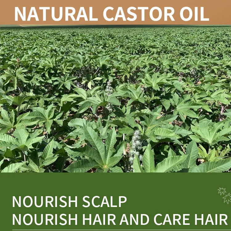 Pure Castor Oil for Growth